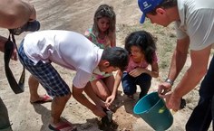 Plantio de mudas é realizado no entorno do Campus do Sertão