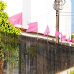 Unidade de Penedo participa da campanha Ufal no Outubro Rosa