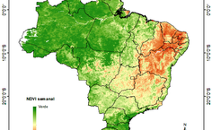 NDVI semana 20141102 (1)