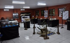 Exposição itinerante no Parque Municipal foi primeiro trabalho de museóloga no MHN