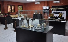 Exposição itinerante no Parque Municipal revela diversidade do acervo do MHN - de insetos e mamíferos a rochas e artefatos arqueológicos