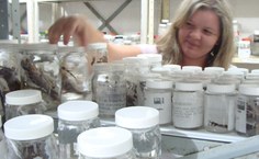 Objetivo é catalogar acervo de forma que tanto pesquisadores quanto curadores da exposição possam recuperar informações facilmente