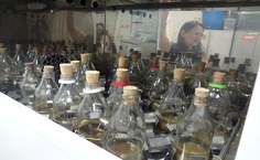 Máquina processa palhas de cana para produção de etanol 2G