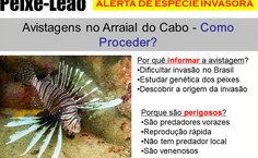 Pesquisador da Ufal divulga alerta de espécie marítima invasora