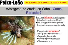 Pesquisador da Ufal divulga alerta de espécie marítima invasora