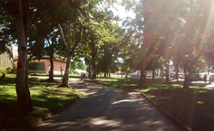 Instagram da Ufal posta fotos de alunos com a hashtag #SouUfal