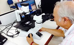 O professor Carlos Azevedo analisando os microparasitas