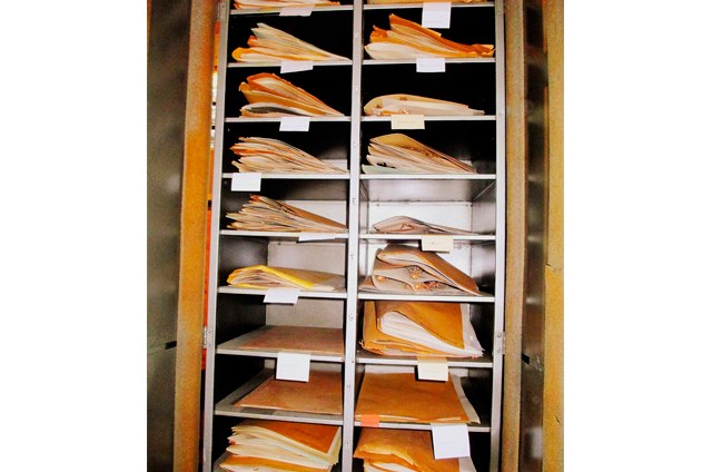 Armário do herbário ilustrando o armazenamento das exsicatas