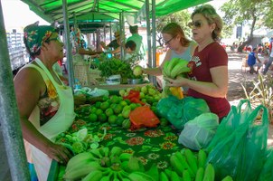 Feira Orgânica chega à Praça Centenário no dia da Saúde