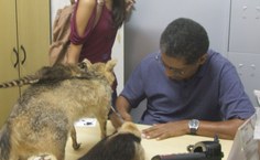 Algumas peças podem ser emprestadas para exposições temporárias como feiras de ciência