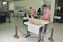 Peças voltadas para exposições priorizam a estética e a educação do público