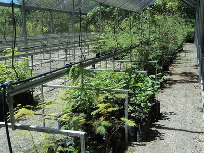 Área do Arboretum destinada à produção de mudas de árvores nativas da Mata Atlântica e da caatinga