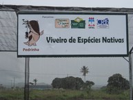 Viveiro de espécies nativas