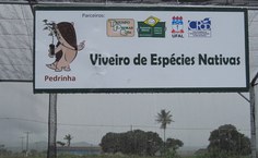 Viveiro de espécies nativas