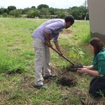 Projeto de Arborização contempla nova área de plantio