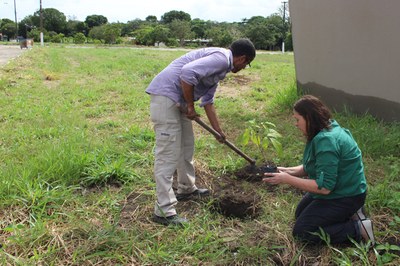 Vice-reitora Rachel Rocha plantou um Ipê rosa na área do Bloco de Sala de Aula 1