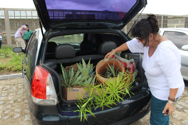 Professora Regina Coeli traz mudas de plantas para o campus
