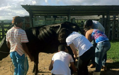 Estudantes de Medicina Veterinária aprendem e repassam conhecimentos em campo