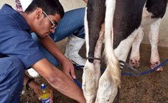 Na região, eles enxergam diversas oportunidades e aproveitam para colocar a teoria na prática