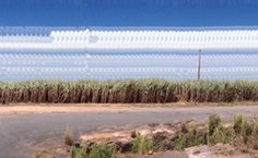 Série trajetos canacival, de Renata Voss