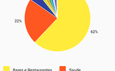 Tela Graficos Categorias - QuantoGastei
