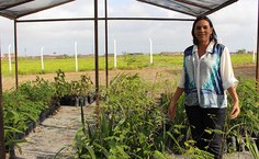 Professora Flávia Moura, coordenadora do Crad