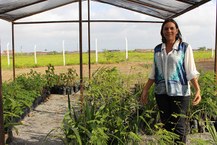 Professora Flávia Moura, coordenadora do Crad