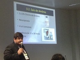 Pesquisas com cavalos são apresentadas no Pará e em Minas Gerais