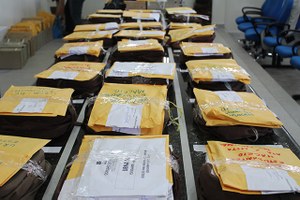 Comunidade universitária acompanha com expectativa apuração da consulta para reitor