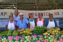 Agricultores familiares durante uma das feiras orgânicas que o projeto promove