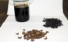 Pesquisas testam ouricuri e coco para aumentar fertilidade da terra