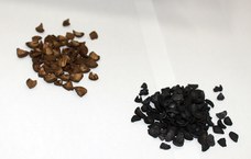 Pesquisas testam ouricuri e coco para aumentar fertilidade da terra