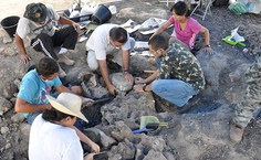 Equipe do MHN, em pesquisa de campo