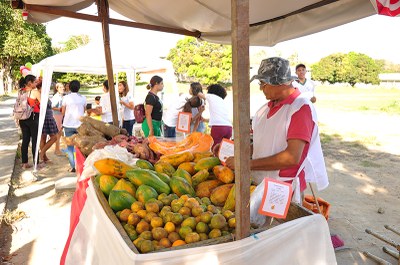 Feirantes participam do projeto da Fanut