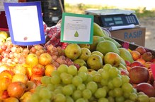 Alimentos são higienizados e prontos para consumo imediato