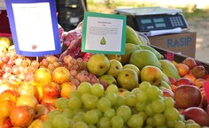 Alimentos são higienizados e prontos para consumo imediato