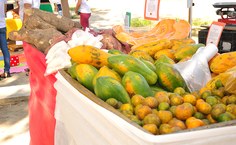 Produtos saudáveis são comercializados