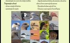 cartaz 1 divulgacao fim de semana Aves Prof Gaban