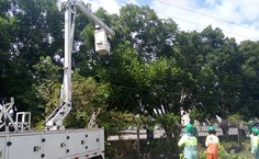 Equipes realizam serviço com planejamento