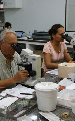 Professores  Carlos Azevedo e Themis em análises de microparasitas em peixes | nothing