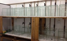 Espaço para experimento em toxicologia, no  Laqua