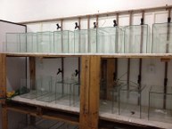 Espaço para experimento em toxicologia, no  Laqua