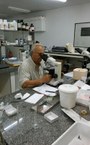 Pesquisador português Carlos Azevedo durante análise de microparasitas da ictiofauna