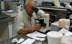 Pesquisador português Carlos Azevedo durante análise de microparasitas da ictiofauna