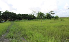 Bosque em defesa da vida no Campus A. C. Simões