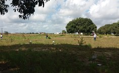 Projetos paisagísticos complementares para o Bosque referentes à iluminação e ao piso estão sendo elaborados