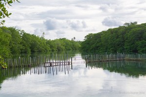 Pesquisa da Ufal na Costa dos Corais receberá investimentos de até R$ 1 milhão