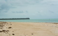 Fotos Willams Fagner (6)