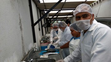 PET Conexões realiza oficina de beneficiamento do pescado no Caiite Penedo