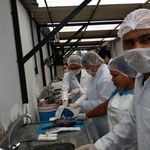 PET Conexões realiza oficina de beneficiamento do pescado no Caiite Penedo